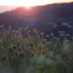 美女扒开内裤让我捅出白浆免费看久久AV
